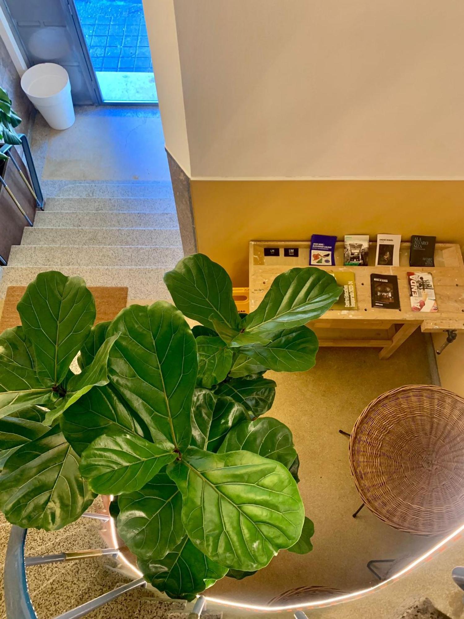 Lm Art Apartments Porto Bagian luar foto
